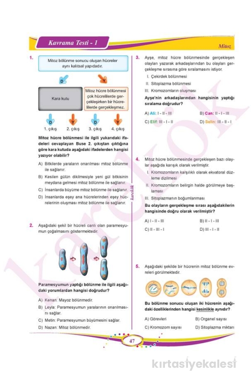 Karekök Yayınları 7. Sınıf Fen Bilimleri Soru Bankası