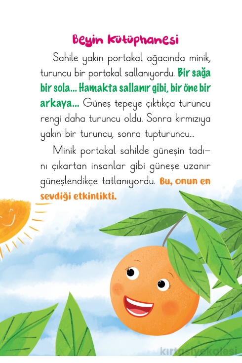 Key Kaliteli Eğitim Yayınları Sağlıklı Organlar Diyarı Hikaye Seti 10 Kitap