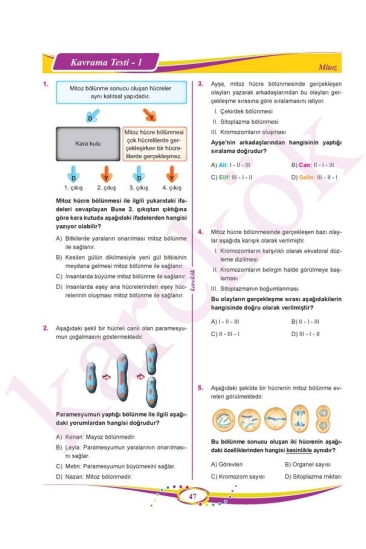 Karekök Yayınları 7. Sınıf Fen Bilimleri Soru Bankası