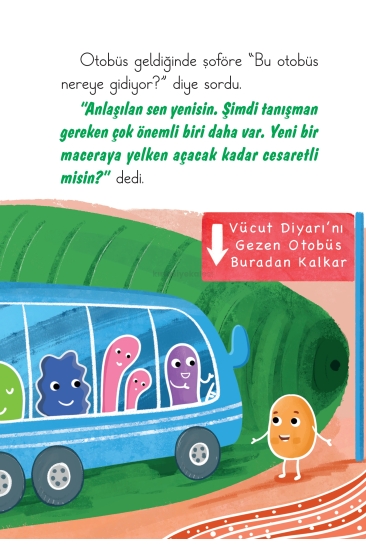 Key Kaliteli Eğitim Yayınları Sağlıklı Organlar Diyarı Hikaye Seti 10 Kitap